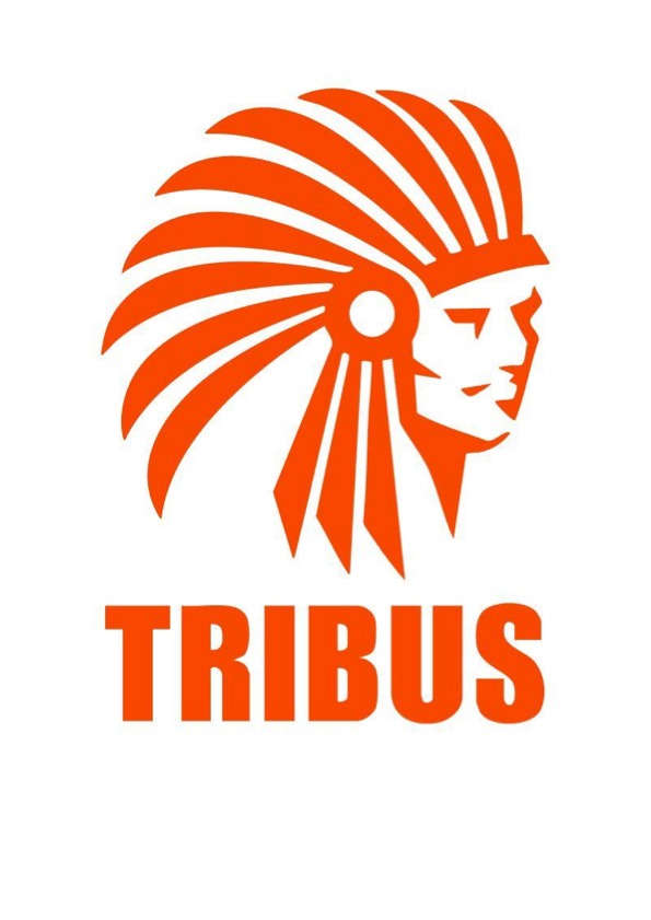 Tribus Artigos Táticos e Militares